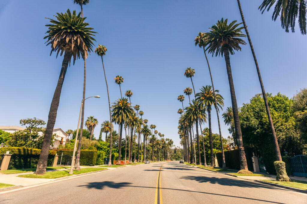 Beverly Hills Palm Tree Lined Street With Luxury Estates And Manicured Landscapes In Southern California.